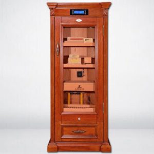 sua-tu-xi-ga-tai-ba-dinh-2