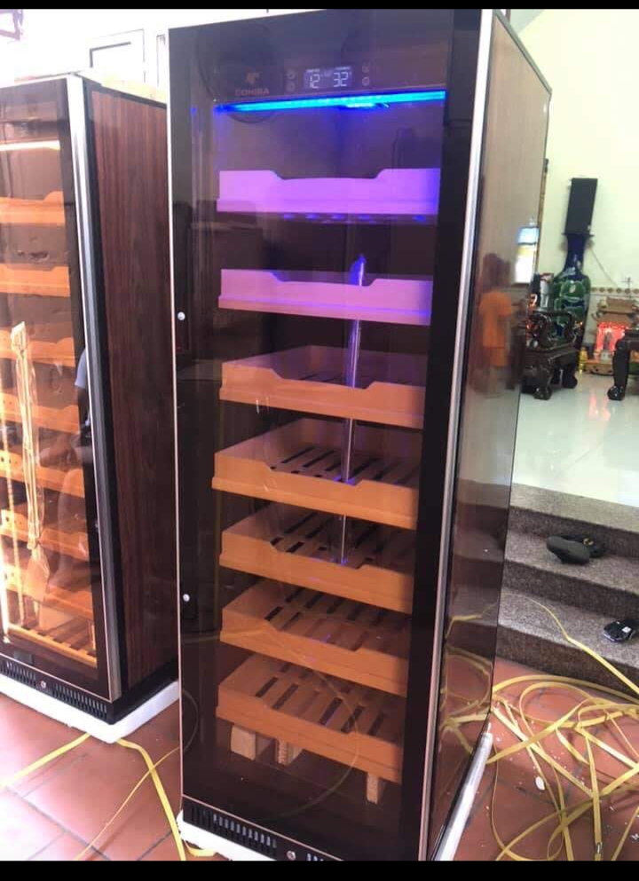 sua-tu-xi-ga-tai-hoang-mai-1