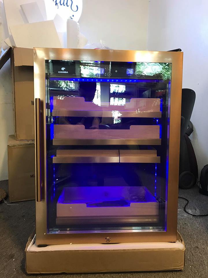 sua-tu-xi-ga-tai-hoang-mai